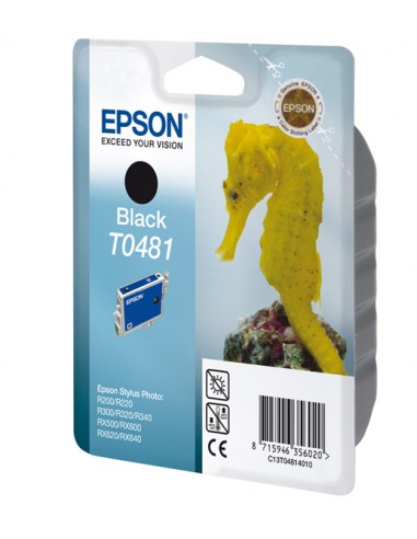 epson-singlepack-black-t0481-1.jpg