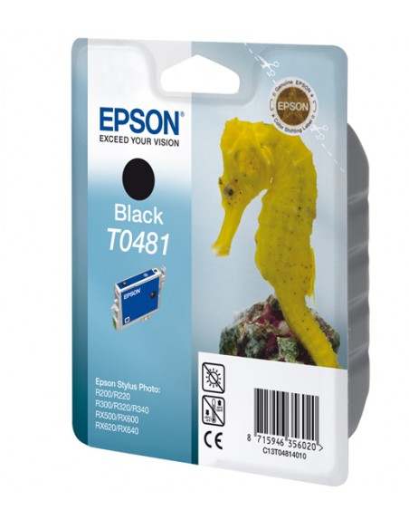 epson-singlepack-black-t0481-1.jpg