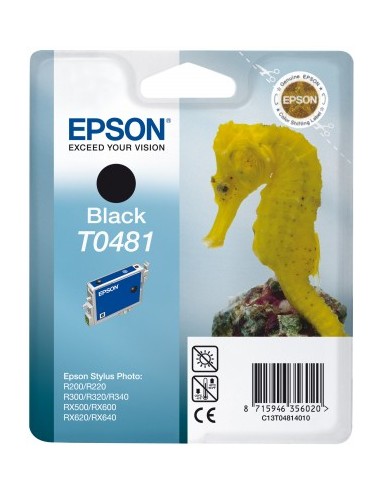 epson-singlepack-black-t0481-4.jpg