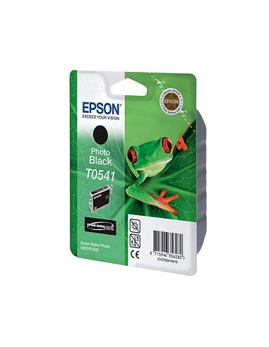 epson-singlepack-photo-black-t0541-ultra-chrome-hi-gloss-1.jpg
